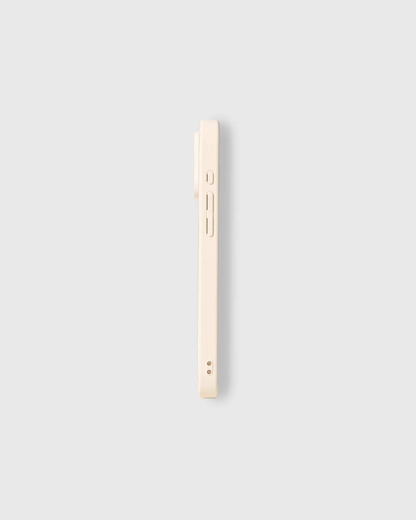 NAUGHTY PLAYER BASEBALL CASE
