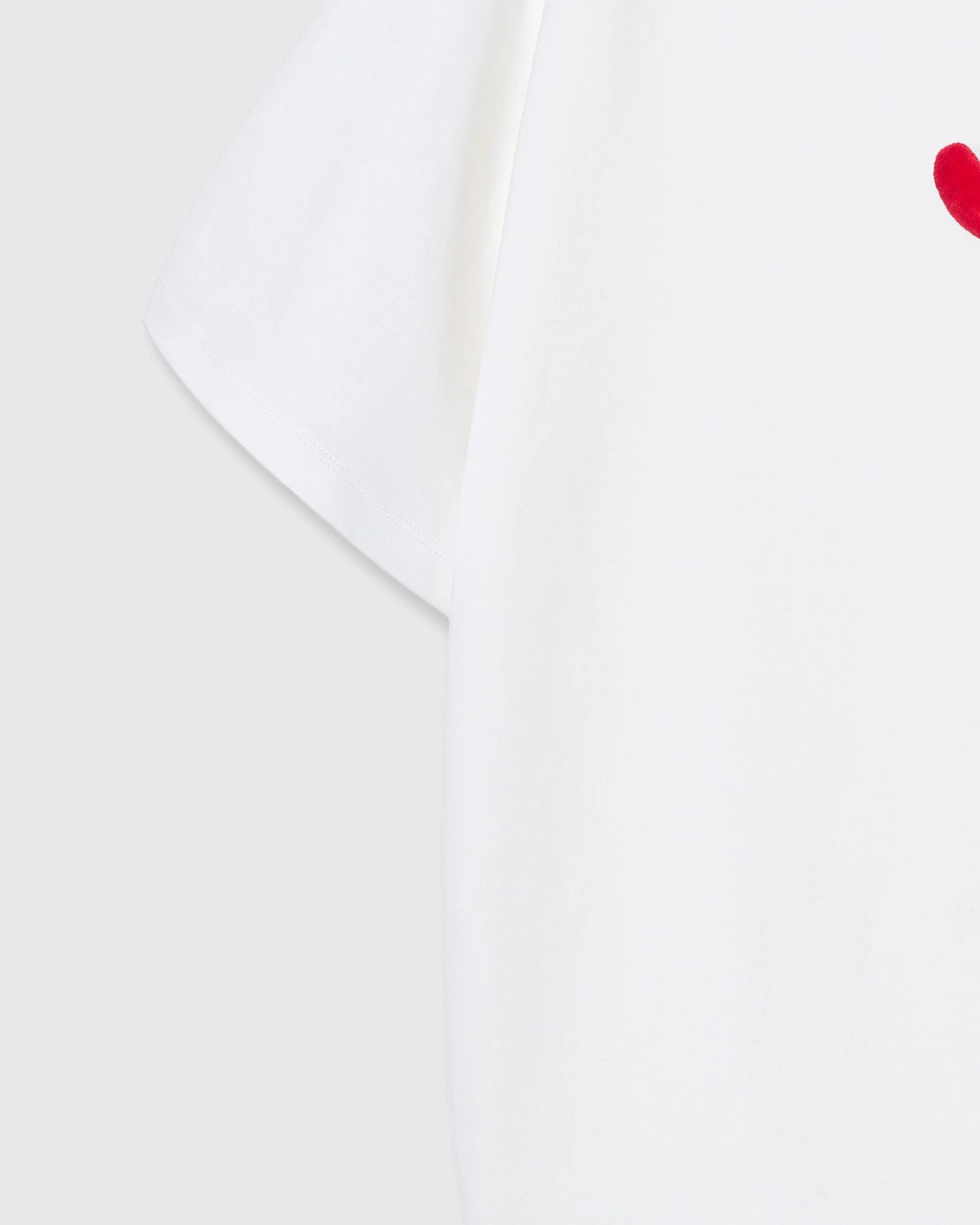 SHRIMP HUG T-SHIRT