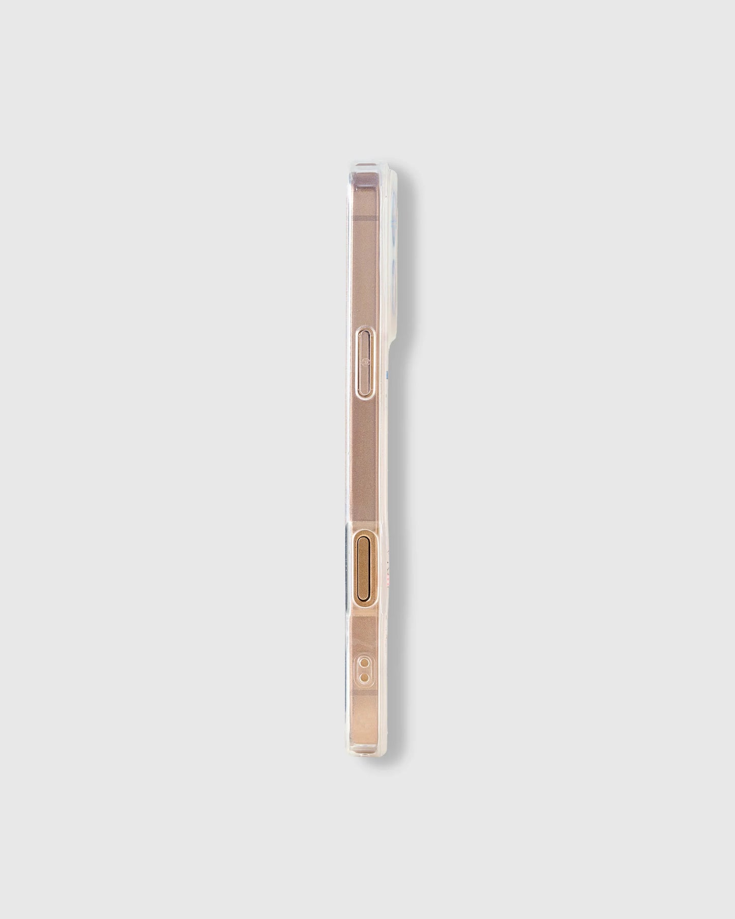 LITTE DOGS CASE