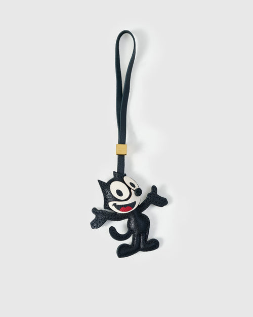 THE CAT CHARM
