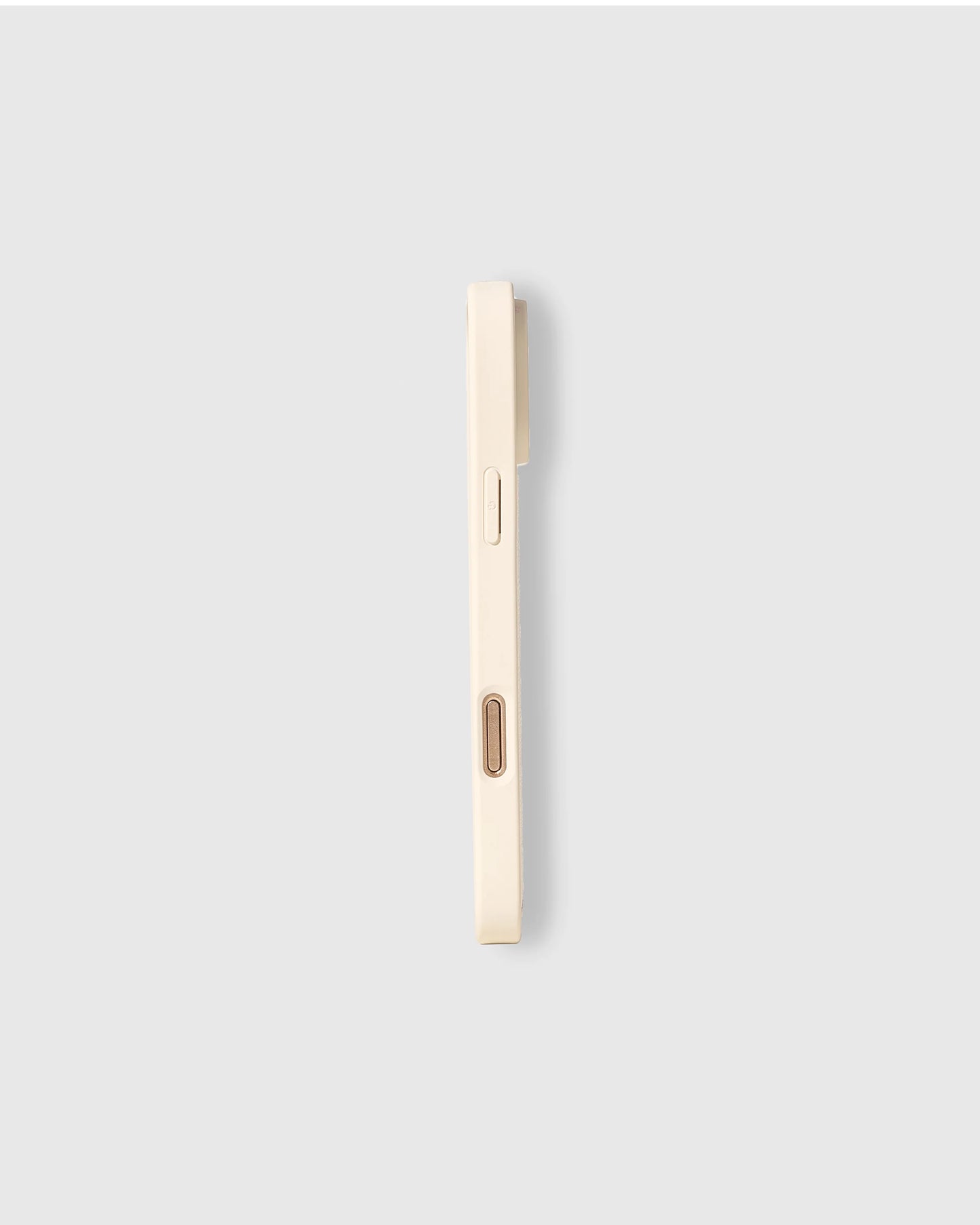 NAUGHTY PLAYER BASEBALL CASE