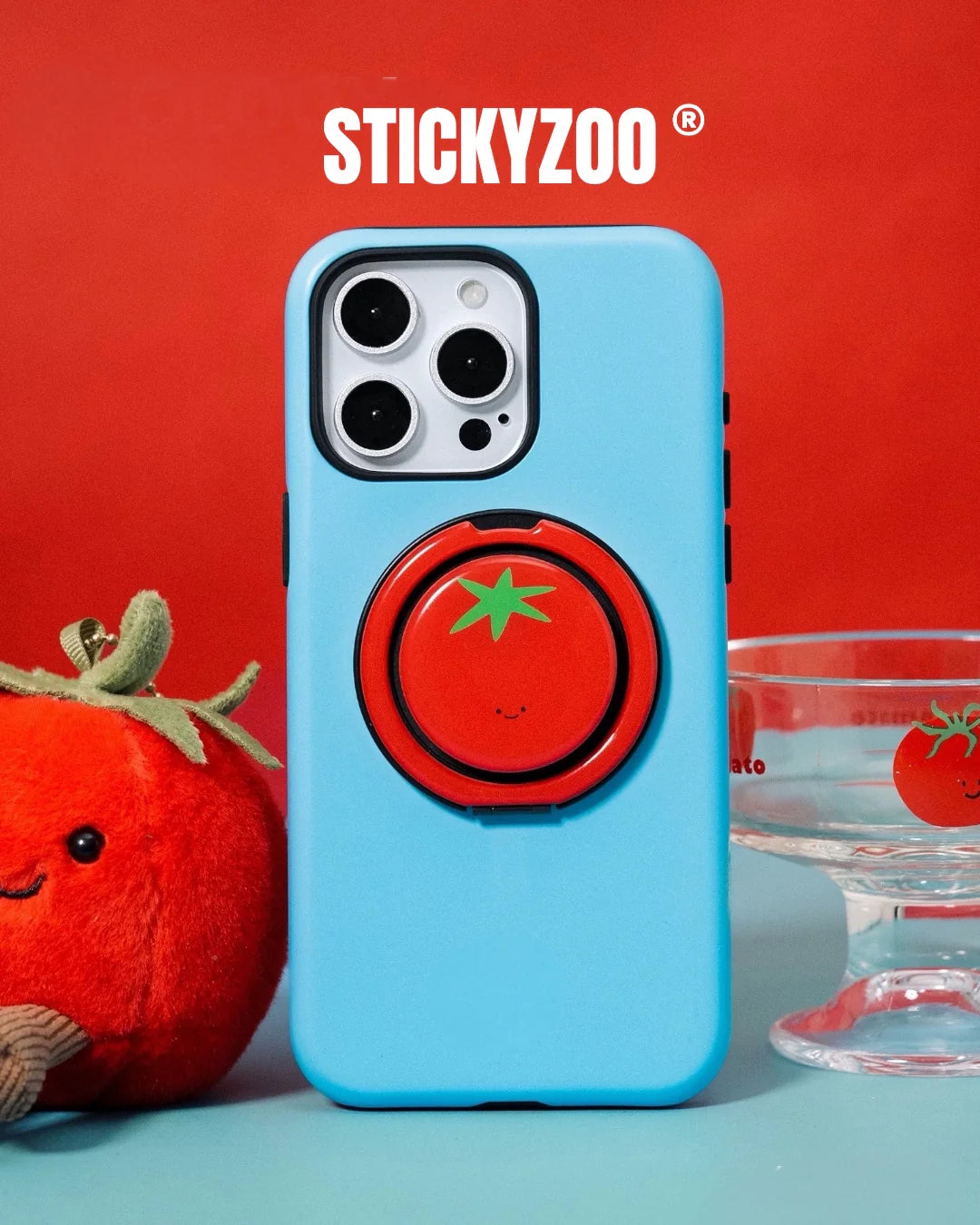 SWEET TOMATO CASE