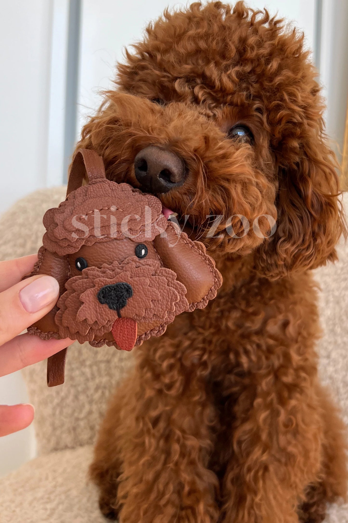 POODLE CHARM